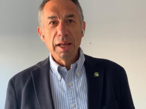 Análisis del mercado de aguacate en Europa durante las primeras semanas del 2025