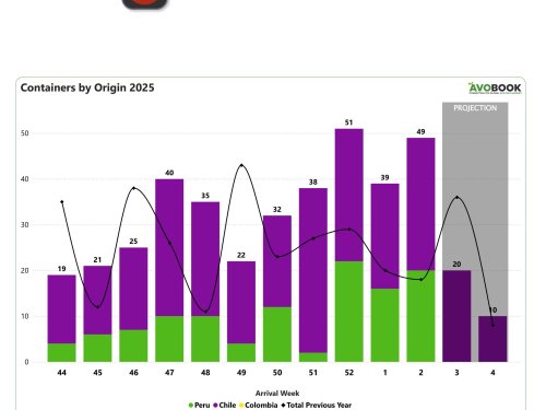 China: aumenta de nuevo las importaciones y Chile mantiene su liderazgo en envíos