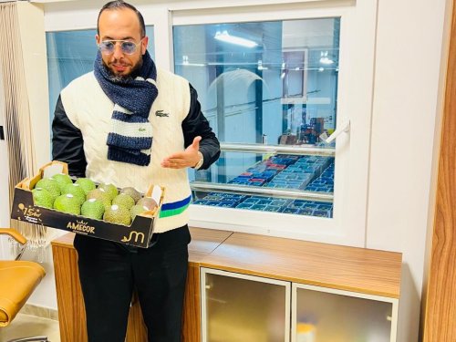 Aguacate Marroquí: Un desafío climático y comercial que está cambiando la industria en europa