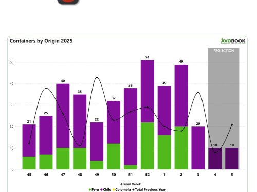 China refleja una caída sostenida en los envíos y precios en retroceso