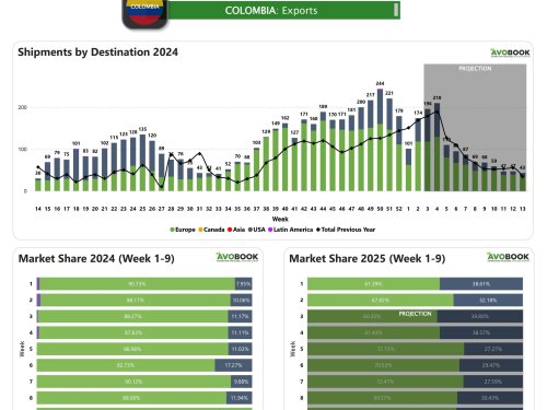 Colombia impulsa sus exportaciones de aguacate con un aumento del 72% en la semana 2
