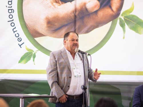 Aguacateros de Jalisco superan un año atípico y proyectan un mejor 2025