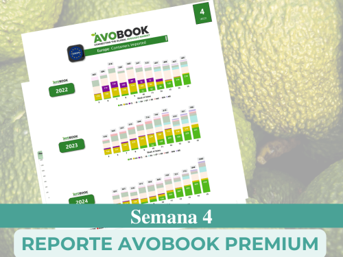 Estados Unidos registra una semana récord en volumen de envíos de aguacate