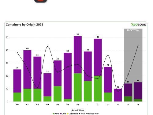 China mantiene una actividad moderada con disminución en envíos desde Chile