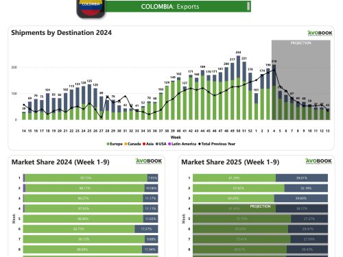 Colombia incrementó los envíos y espera superar los 200 contenedores para la próxima semana