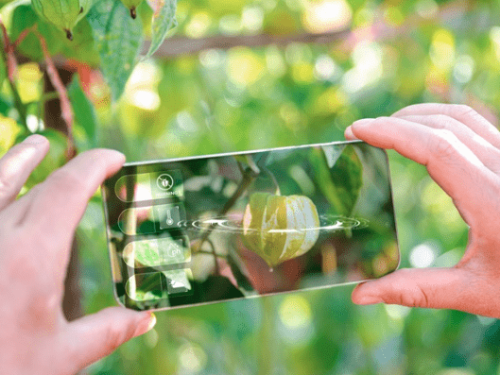 La inteligencia artificial redefinirá la agricultura en 2025, según Syngenta