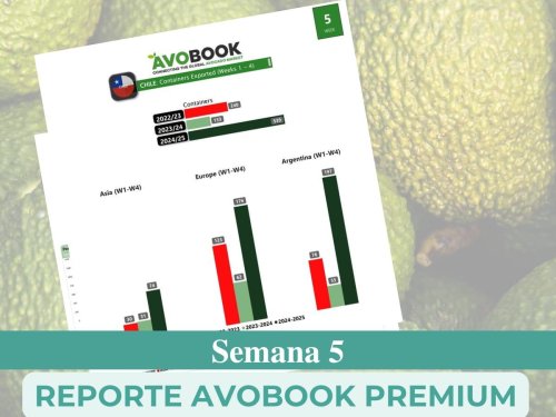 El mercado de aguacates en EE.UU. crece un 32% respecto al año pasado, con California ganando protagonismo