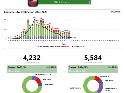 Exportaciones de aguacate en Chile superan en más de 400% los niveles del año pasado