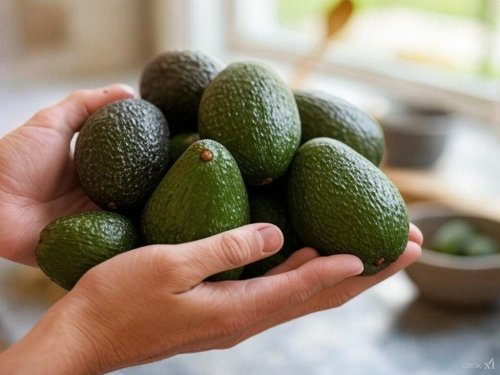 Cómo Baika y Naturipe Avocado Farms están transformando la importación de aguacates en EE.UU.