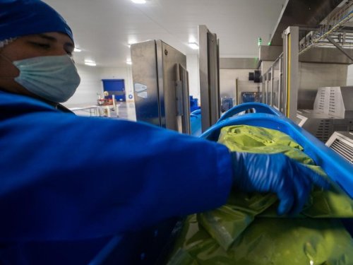 HPP: La clave para extender la vida útil de productos derivados del aguacate