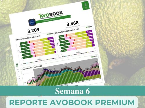 Chile, República Dominicana y California disminuyen sus envíos a Estados Unidos