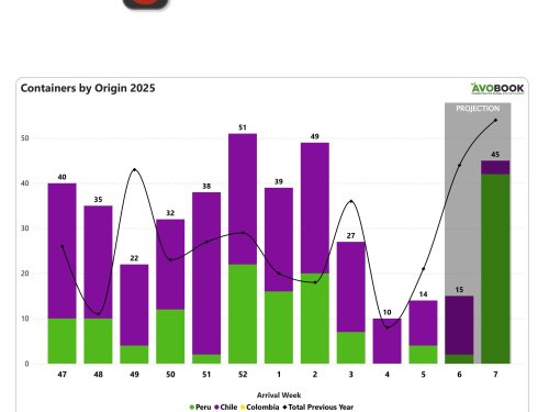 El mercado del aguacate en China: señales de aumento en la temporada peruana