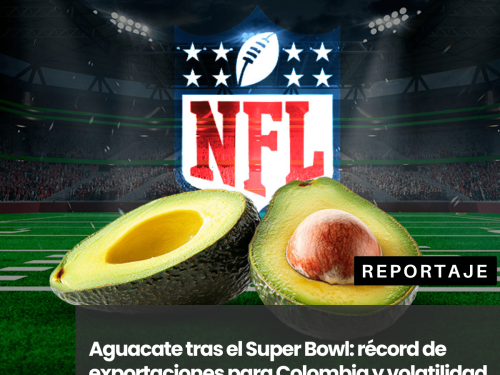 Aguacate tras el Super Bowl: récord de exportaciones para Colombia y volatilidad en los precios