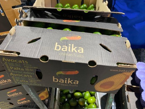 Baika revoluciona el packing en Chile gracias a la innovación y tecnología en la planta de San Felipe