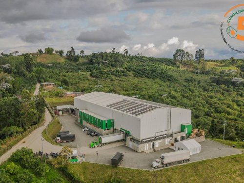 Crecimiento de exportación de aguacates de Colombia bordeó el 30% entre 2023 y 2024