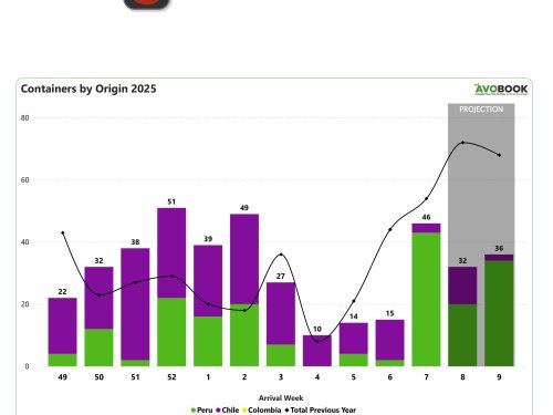 China recibe 45 contenedores de aguacate con dominio peruano en el mercado