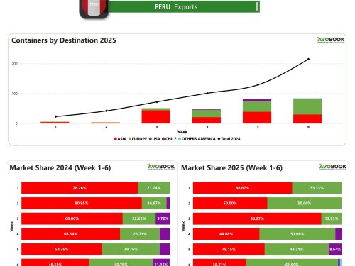 Perú mantiene envíos de aguacate con un crecimiento moderado