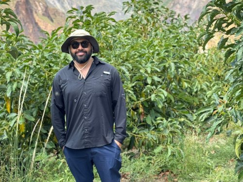 Entre mayo y julio podría haber concentración de aguacate peruano en el mercado