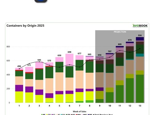 Mercado del aguacate en Europa: estabilidad en volúmenes, pero ajustes en precios