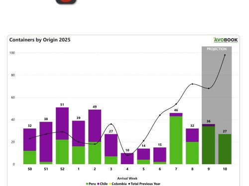 China reduce importaciones de aguacate, pero precios del producto peruano se disparan