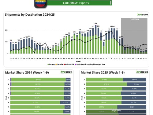 Exportaciones de Colombia caen un 36% en la semana 7, pero Europa y EE.UU. mantienen participación equilibrada