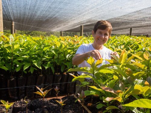 “El aguacate de Brasil ya logró consolidar una clientela fija”
