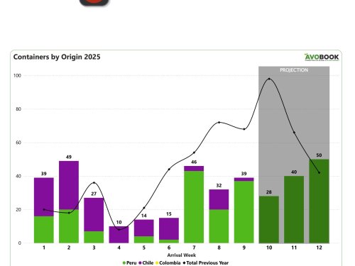 China mantiene bajo volumen de importación con predominio de Perú
