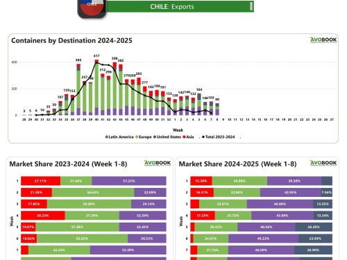 Caída en exportaciones chilenas y predominio de Latinoamérica como destino principal