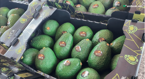 Europa y la diversidad de actores: ¿alcanzará para todos?