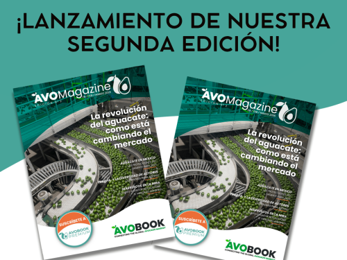 Descubre las claves del negocio aguacatero en la nueva edición digital de AvoMagazine
