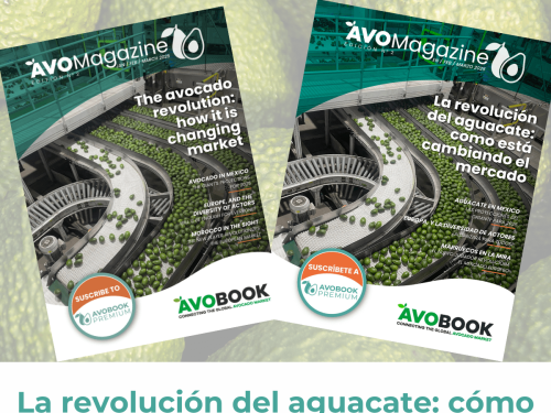 Ya está disponible la segunda edición de AvoMagazine:¡Lo que necesitas saber del mercado aguacatero!