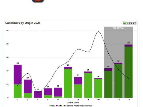 Disminuyen los envíos de aguacate a China y caen los precios de la fruta peruana
