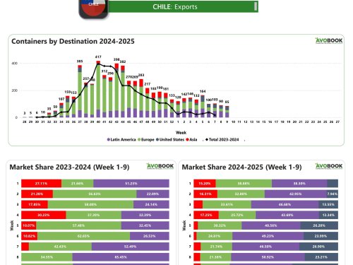 Latinoamérica sigue consolidándose como un destino clave para la fruta chilena