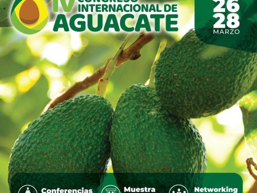 Expertos de EE.UU, Colombia, Perú y Ecuador analizarán las oportunidades de crecimiento del sector aguacatero ecuatoriano