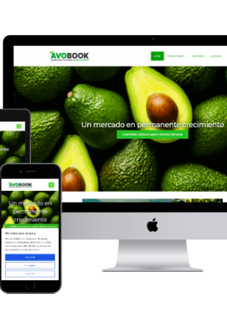 Avobook Premium Report 2025 w11