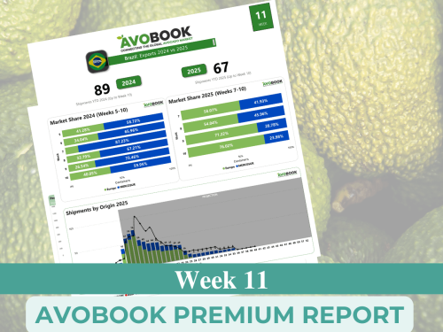 Caída del 26% en las importaciones de aguacate en EE. UU. dispara los precios y genera incertidumbre