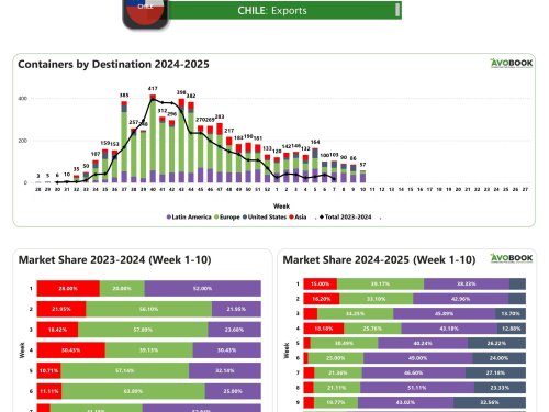 Exportaciones de aguacate chileno caen 34% en la semana 11, con Latinoamérica como principal destino