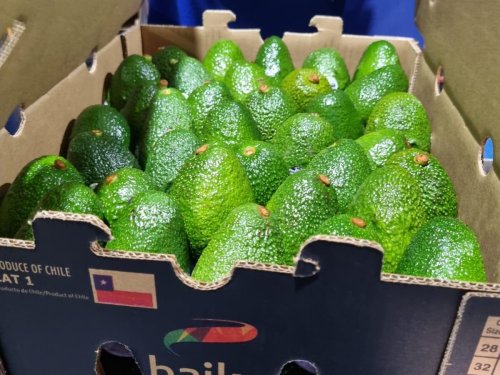 Baika Chile: Estrategia multiorigen e integración vertical