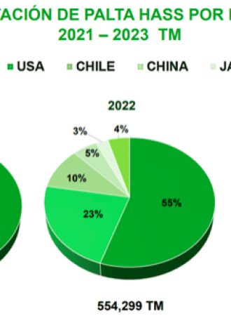 Avobook Premium Report 2025 w12