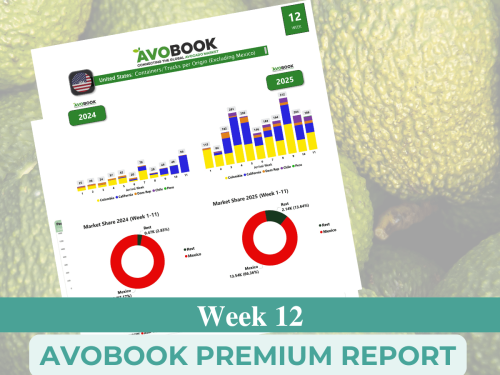 EE. UU. recibe más aguacate, pero sigue por debajo del año pasado: México y Colombia impulsan el repunte