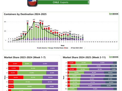 Exportaciones chilenas aumentan 42% con Latinoamérica como destino principal