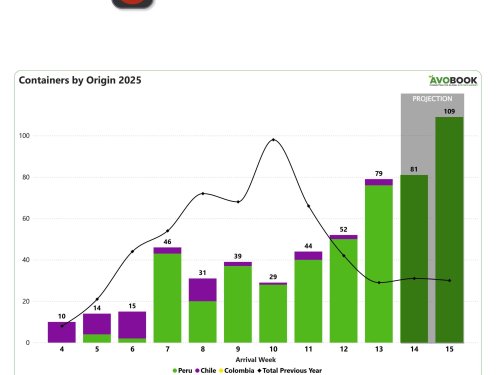 Envíos de aguacate a China crecen un 52% mientras Chile mantiene presencia mínima