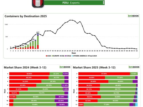 Perú acelera sus exportaciones de aguacate con un 62% de crecimiento, pero el clima podría jugar en contra