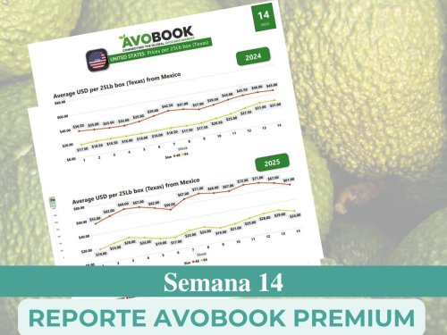 Estados Unidos recibe su mayor volumen del año con caída de precios en calibres pequeños