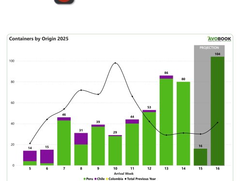 China mantiene estabilidad en precios mientras Perú se queda con el 100% del mercado