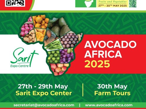 Avocado África 2025 impulsa la internacionalización del aguacate desde África