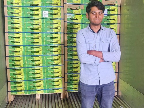 India se abre al aguacate: el mercado que crece a doble dígito cada año