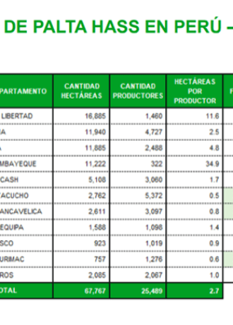 Avobook Premium Report 2025 w15