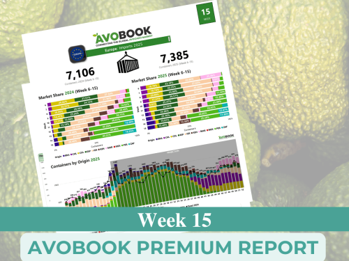 Brusca caída de ingresos de aguacate en EE. UU. marca la semana 15: México pierde terreno y calibres pequeños suben de precio