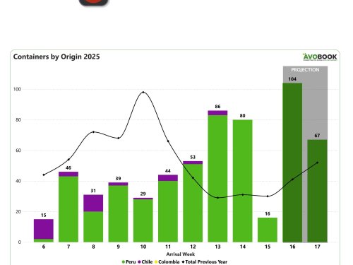 Fuerte baja en los envíos de aguacate a China en la semana 15: se proyecta repunte en la semana siguiente
